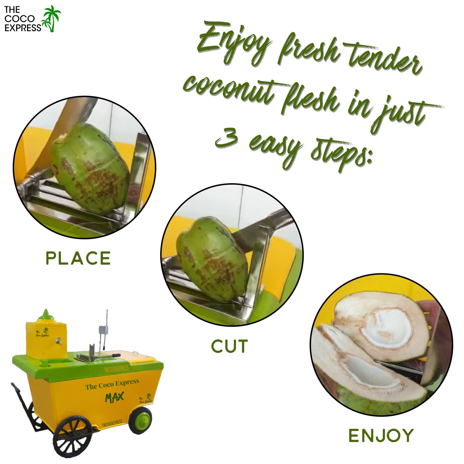 Max Coconut Water Cart | More Capacity, More Sales